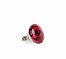 Lampa infra�erven� IR PAR 175 W