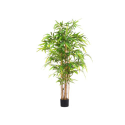 Bambus v kv�tin��i 170 cm