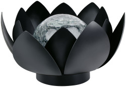 Lotos sol�rn� 20x11 cm